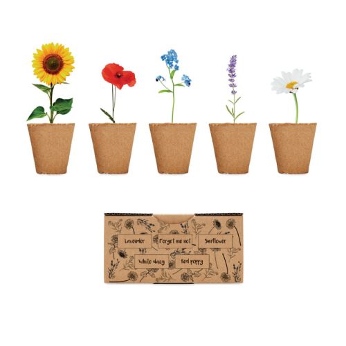 Flowers growing kit - Image 1